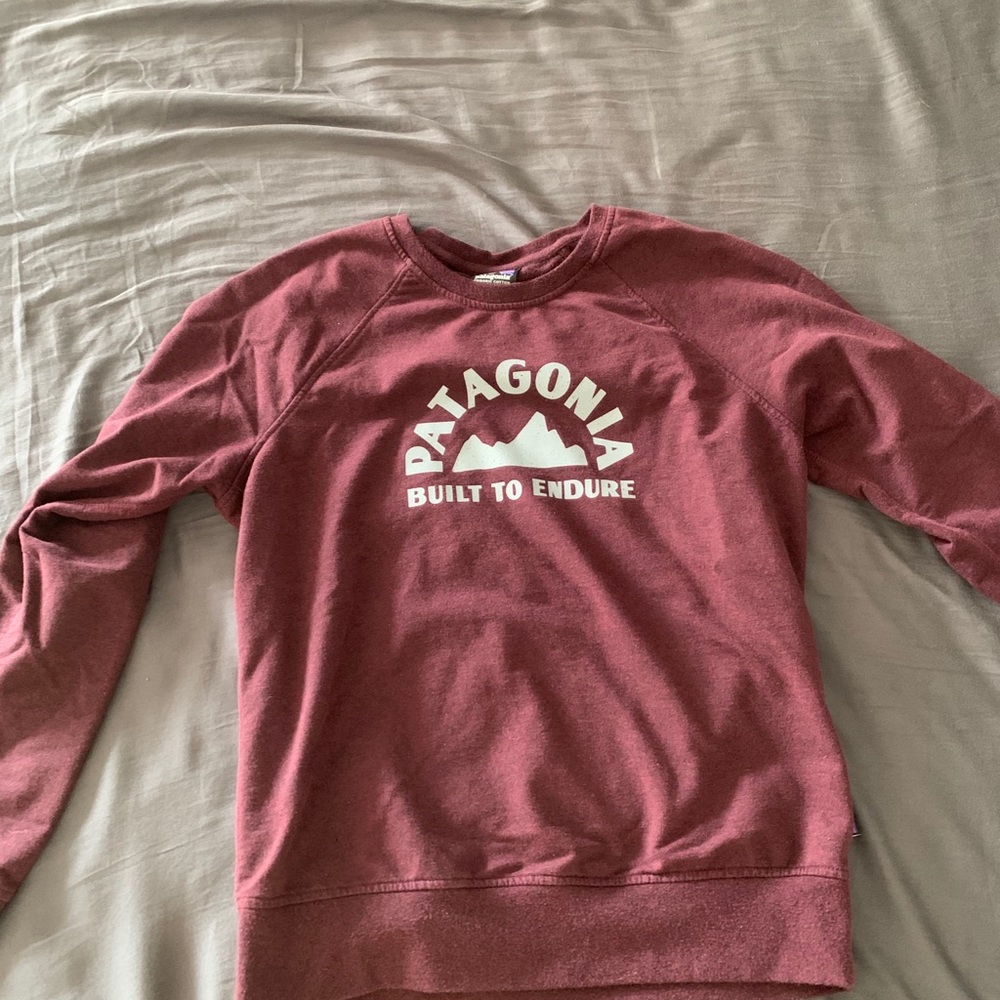Patagonia sweatshirt